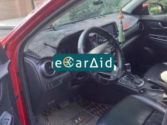 ecaraid image