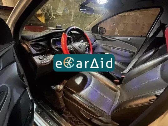 ecaraid image