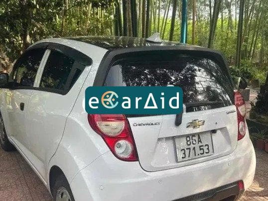 ecaraid image