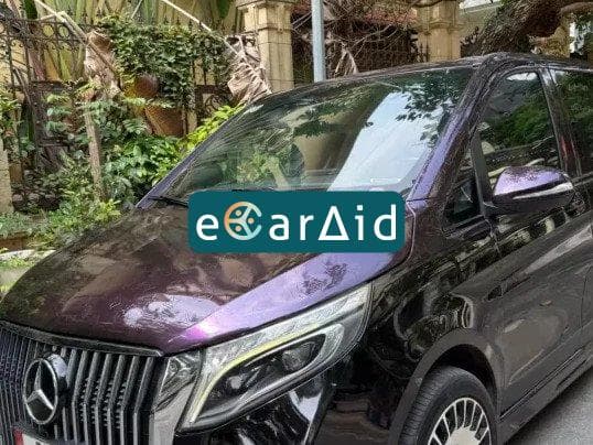 ecaraid image
