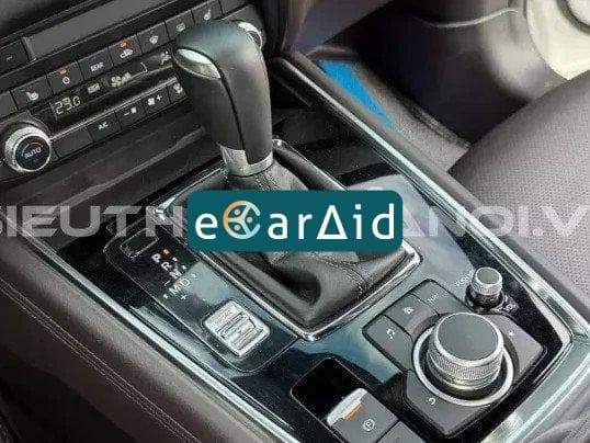 ecaraid image